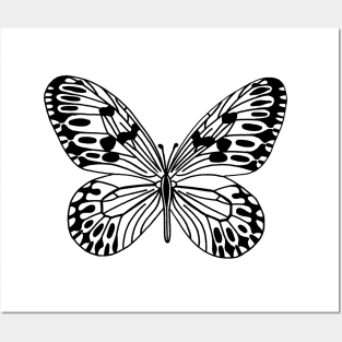 Butterfly Posters and Art